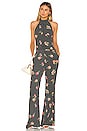 view 1 of 4 Ava Jumpsuit in Rain Check