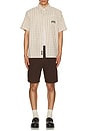 view 6 of 6 SHORTS ESTILO CARPINTERO VT DISTEND in Brown