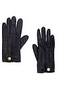 view 1 of 6 Hermes Sellier Gloves in Black
