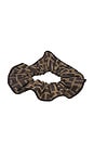 view 1 of 5 Fendi Zucca Scrunchie in Brown