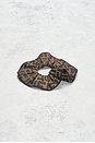view 2 of 5 Fendi Zucca Scrunchie in Brown