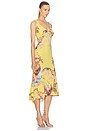 view 2 of 3 ROBE ROBERTO CAVALLI in Yellow