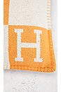view 3 of 6 OREILLER HERMES in Orange