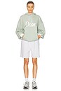 view 4 of 4 Dior Sweatshirt in Sage