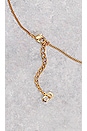 view 5 of 9 COLLAR DIOR in Gold
