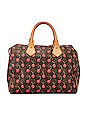 view 1 of 10 Louis Vuitton Monogram Cerises Speedy 25 Bag in Brown