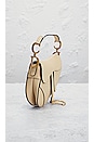 view 4 of 8 Dior Saddle Bag in Cream