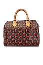 view 1 of 8 Louis Vuitton Monogram Cherry Speedy 25 Bag in Brown