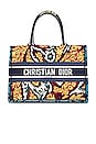 view 1 of 8 Dior Book Tote Bag in Multi