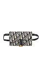 view 1 of 9 Dior Oblique Waist Bag in Beige