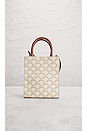 view 3 of 9 Celine Vertical Triomphe Canvas Shoulder Bag in Cream