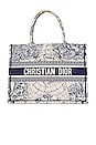 view 1 of 10 Dior Book Tote Bag in Blue