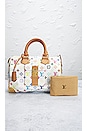 view 10 of 10 Louis Vuitton Speedy 30 Bag in Multi White