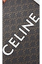 view 5 of 7 Celine Vertical Canvas Tote Bag in Brown