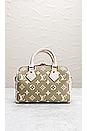 view 3 of 8 LOUIS VUITTON バッグ in Sage