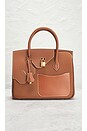 view 2 of 7 Hermes Birkin En Desordre Togo Handbag in Brown