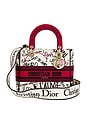 view 1 of 9 Dior Lady Canvas Handbag in Multi