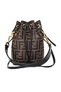 view 1 of 9 SAC SEAU FENDI in Brown