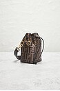 view 4 of 9 SAC SEAU FENDI in Brown