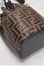 view 6 of 9 SAC SEAU FENDI in Brown