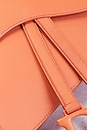 view 7 of 8 Dior Saddle Bag in Orange