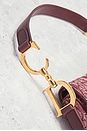 view 6 of 9 Dior Trotter Double Saddle Bag in Red