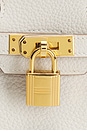 view 6 of 8 Hermes Togo Birkin 25 Handbag in Beton