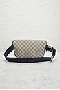 view 3 of 8 SAC BANANE GUCCI in Beige