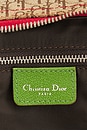view 5 of 9 Dior Rasta Trotter Double Saddle Bag in Brown