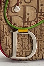 view 8 of 9 Dior Rasta Trotter Double Saddle Bag in Brown