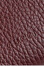 view 6 of 8 Gucci Dionysus Wallet On Chain in Bordeaux