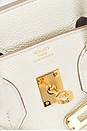 view 6 of 8 HERMES ハンドバッグ in Mushroom