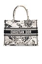 view 1 of 9 Dior Toile De Jouy Zodiac Book Tote Bag in Ivory