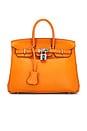 view 1 of 10 Hermes Novillo Birkin 25 Handbag in Orange