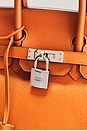 view 5 of 10 Hermes Novillo Birkin 25 Handbag in Orange