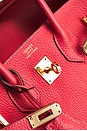 view 7 of 10 Hermes Togo Birkin 25 Handbag in Rouge Pivoine
