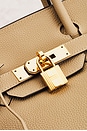 view 5 of 9 Hermes Togo Birkin 30 Handbag in Beige Marfa