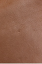 view 7 of 10 Gucci Roxy Blondie Shoulder Bag in Tan