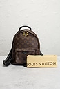 view 10 of 10 LOUIS VUITTON バックパック in Brown
