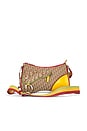 view 1 of 10 Dior Rasta Trotter Double Saddle Bag in Beige