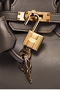 view 6 of 9 Hermes Veau Swift Birkin 25 Handbag in Etain