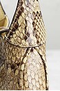view 8 of 9 Gucci Python Mini Jackie 1961 Hobo Bag in Beige
