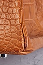 view 8 of 9 Hermes Fauve Matte Alligator Birkin 35 Handbag in Gold