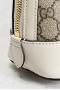 view 7 of 10 BOLSO GUCCI in Beige