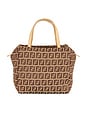 view 1 of 8 BOLSO FENDI in Beige