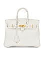 view 1 of 9 Hermes Epsom Birkin 25 Handbag in White