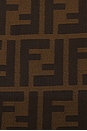 view 6 of 7 FOURRE-TOUT FENDI in Brown