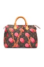 view 1 of 10 Louis Vuitton Limited Edition Grenade Ramages Speedy 30 Handbag in Brown
