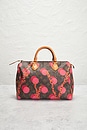 view 3 of 10 Louis Vuitton Limited Edition Grenade Ramages Speedy 30 Handbag in Brown