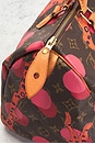 view 5 of 10 Louis Vuitton Limited Edition Grenade Ramages Speedy 30 Handbag in Brown